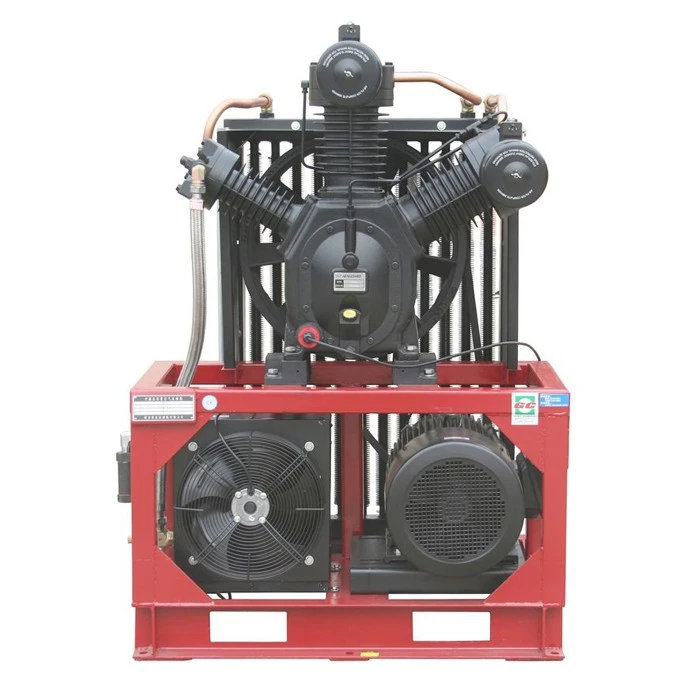 30 Bar High Pressure Air Compressor Without Air Tank For Blow Molding Machine With Good Price